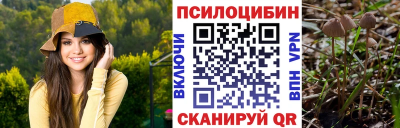 Галлюциногенные грибы мицелий  гидра ТОР  Урай 